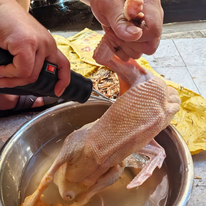 Desplumadora eléctrica de mano Orvenisa